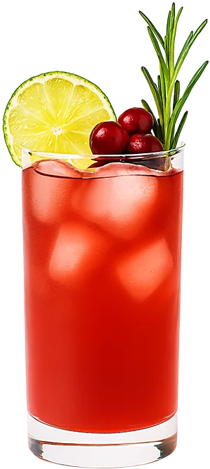 Cranberry Ginger Fizz cocktail
